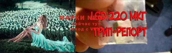 дмт Ельня