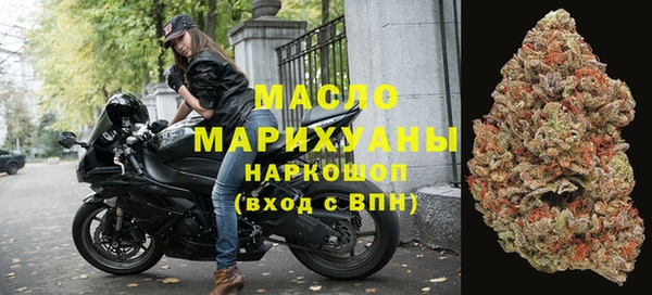 дмт Ельня