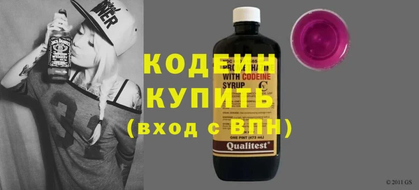 дмт Ельня