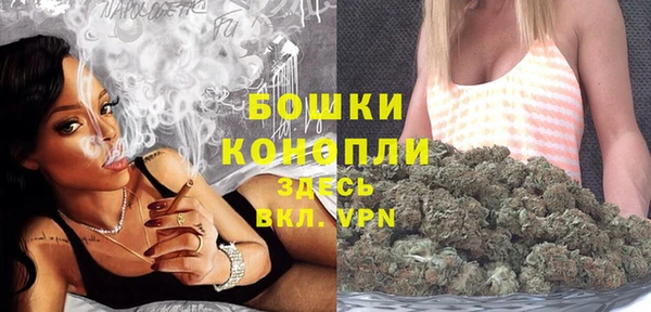 дмт Ельня