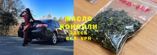 дмт Ельня