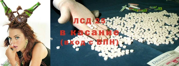 дмт Ельня