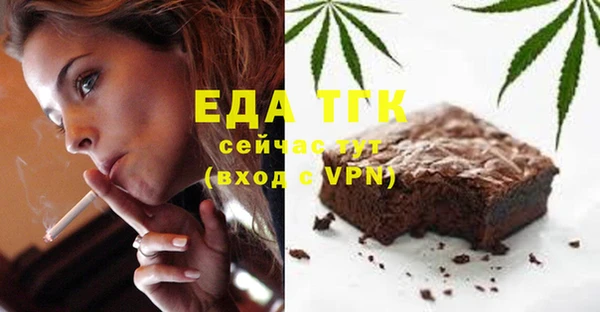 дмт Ельня