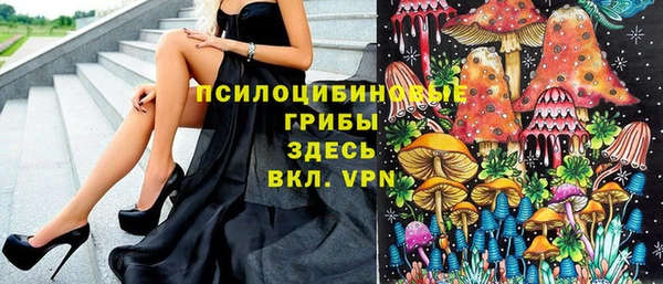 дмт Ельня